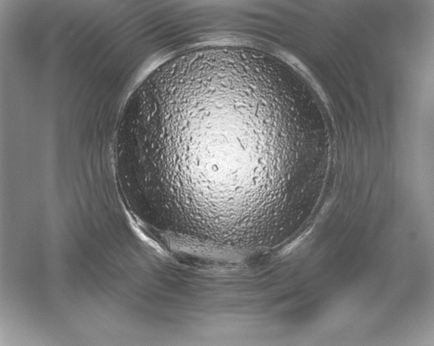 X0000055981433200509091941