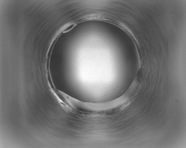 X0000055981434200509091941