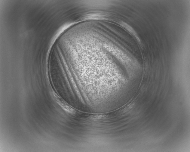 X0000055981435200509091941