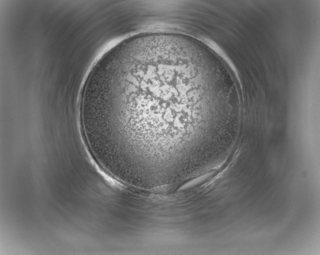 X0000055981437200509091942