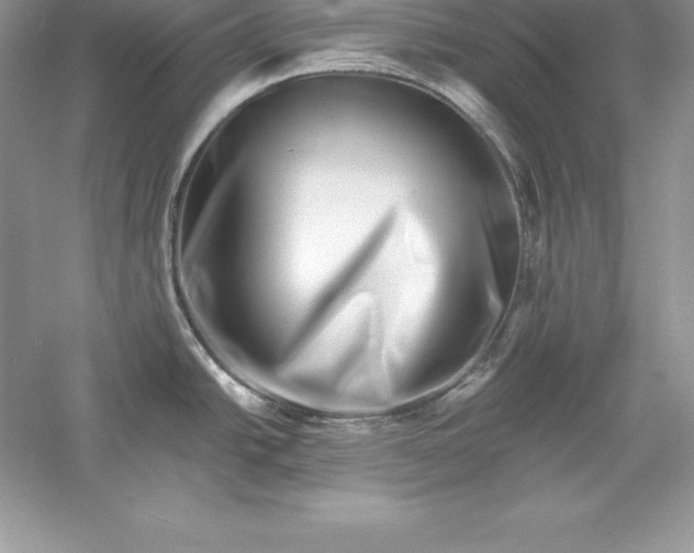 X0000055981438200509091942