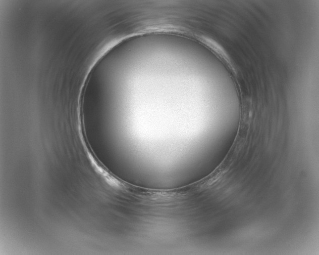 X0000055981439200509091942