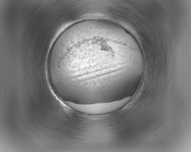 X0000055981440200509091942