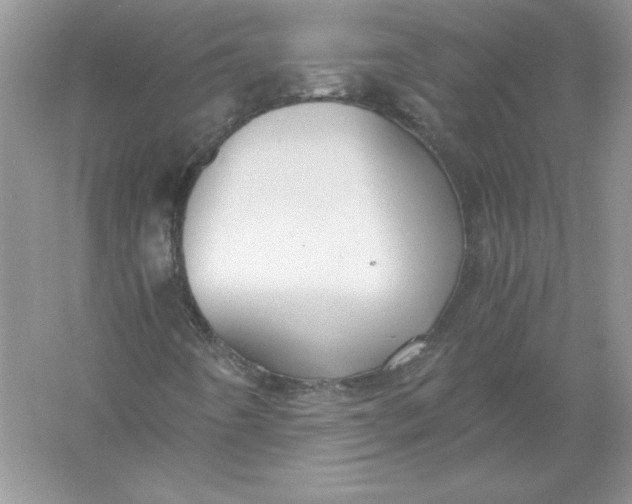 X0000055981442200509091941