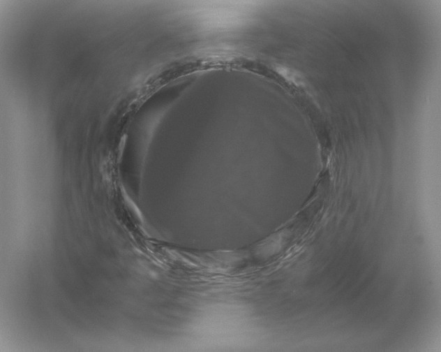 X0000055981445200509091941