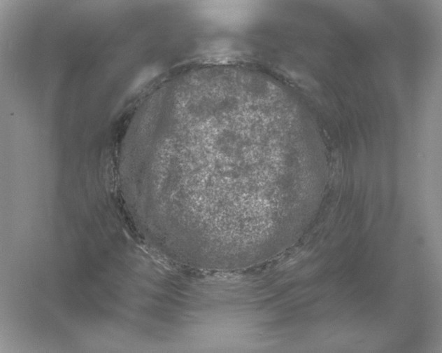 X0000055981446200509091941