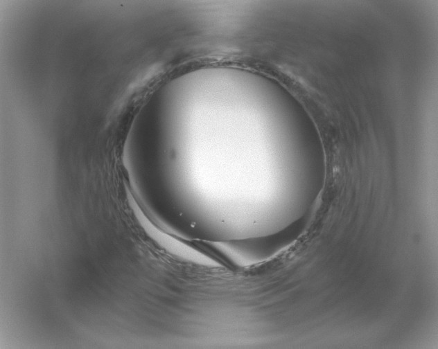 X0000055981447200509091941