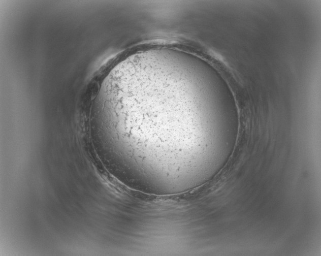 X0000055981448200509091941