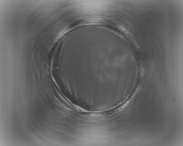 X0000055981449200509091941