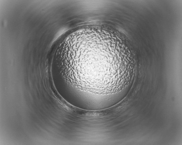 X0000055981450200509091941