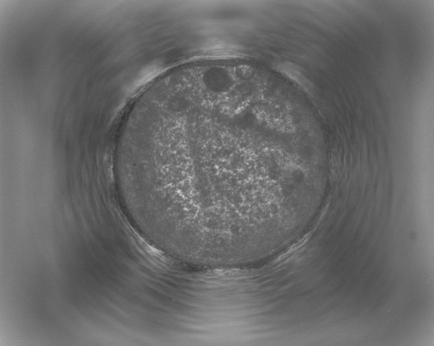 X0000055981451200509091941