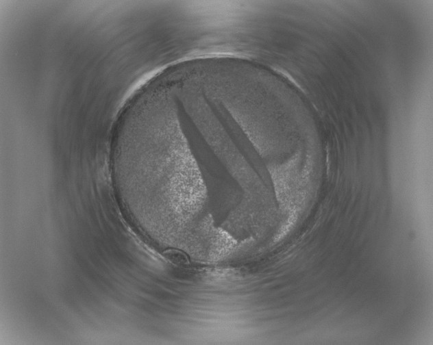 X0000055981452200509091941