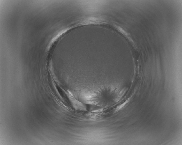 X0000055981453200509091941