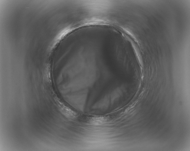 X0000055981455200509091941