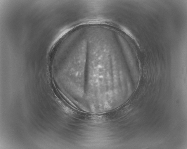 X0000055981456200509091941