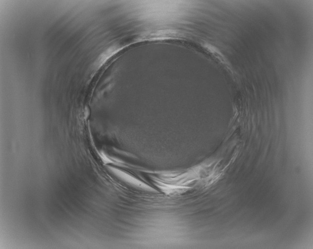 X0000055981457200509091940