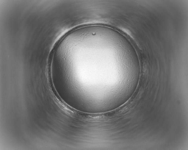 X0000055981460200509091940