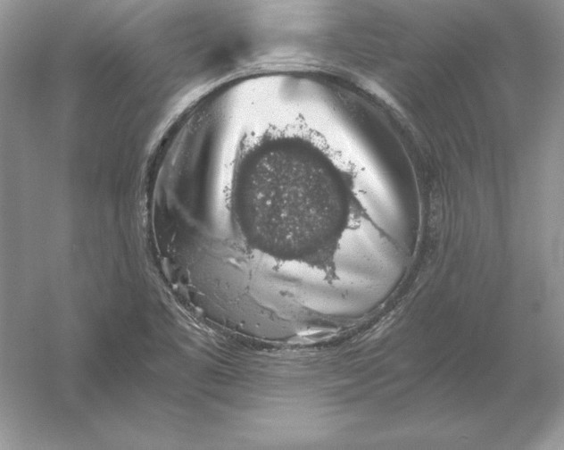 X0000055981461200509091940