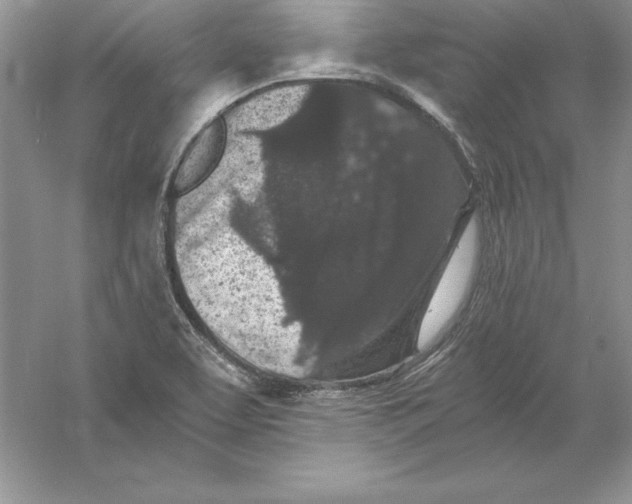 X0000055981463200509091940