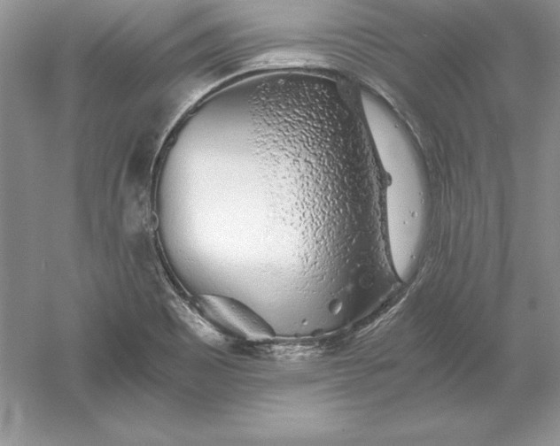 X0000055981465200509091940