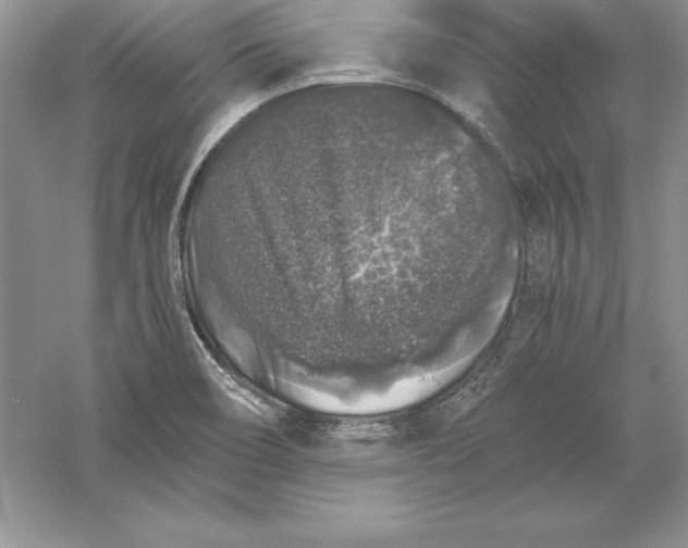 X0000055981466200509091940