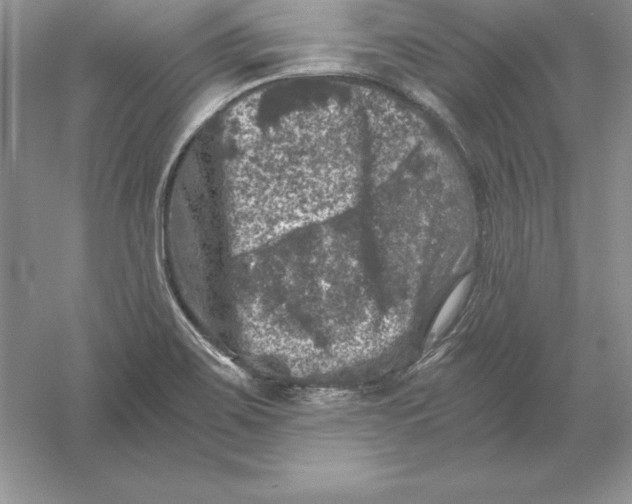 X0000055981467200509091940