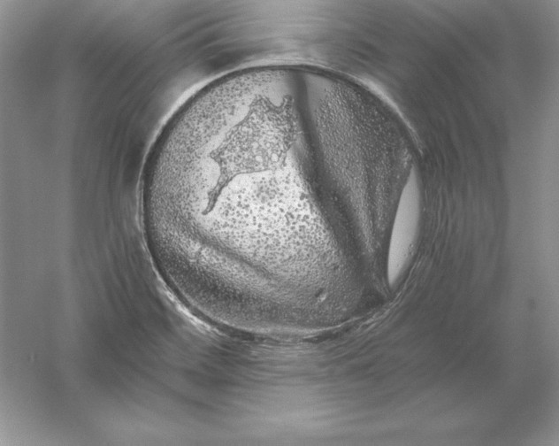 X0000055981468200509091940