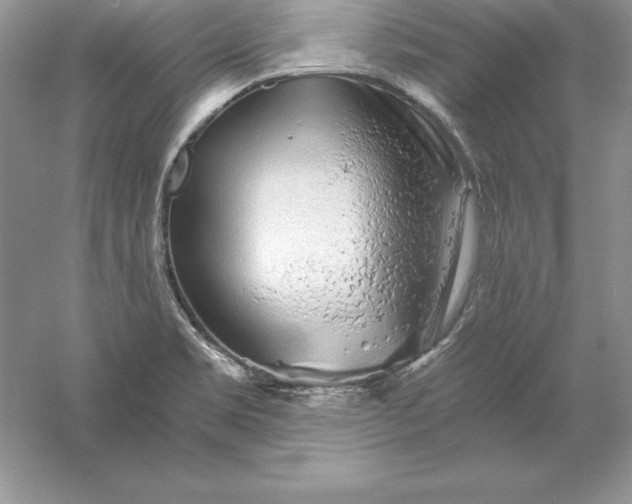 X0000055981469200509091940