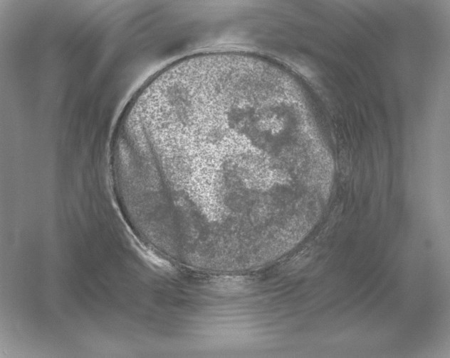 X0000055981470200509091940