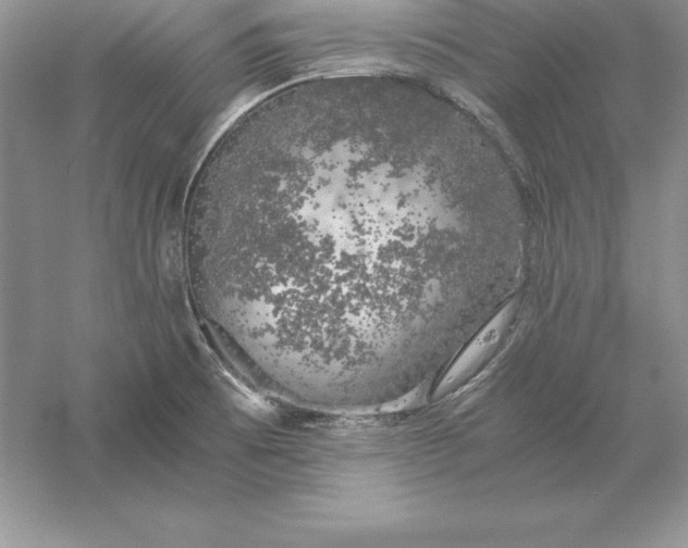 X0000055981473200509091940