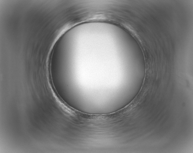 X0000055981475200509091940