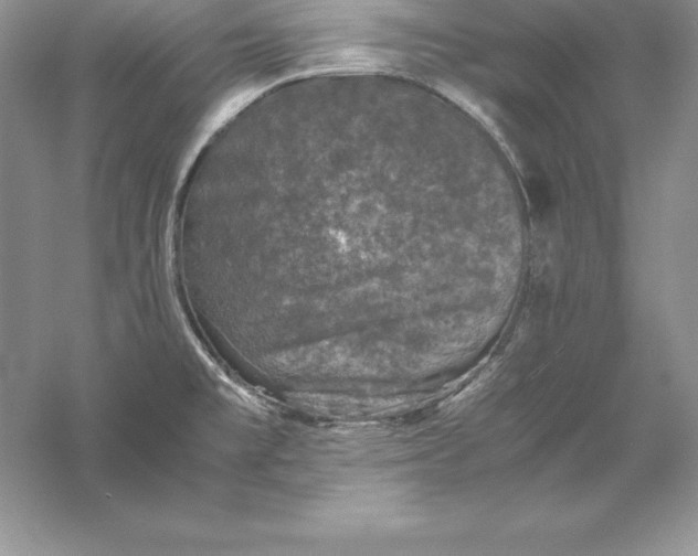 X0000055981477200509091940