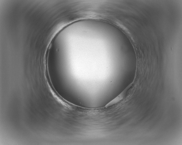 X0000055981479200509091940