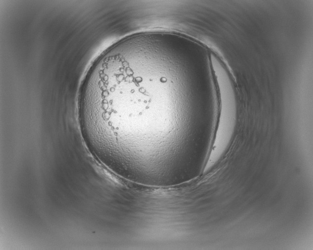 X0000055981480200509091940