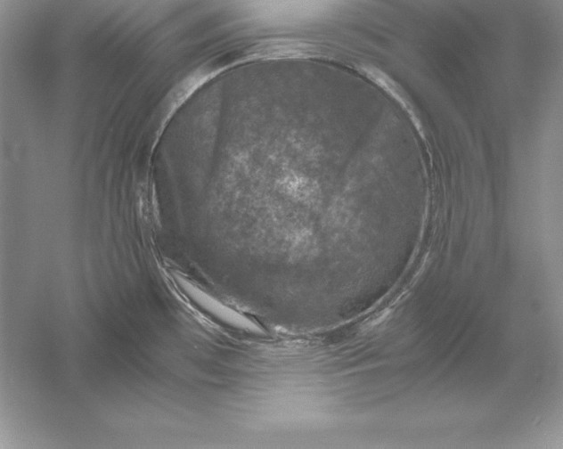 X0000055981481200509091940