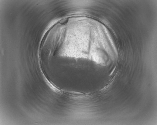 X0000055981482200509091940