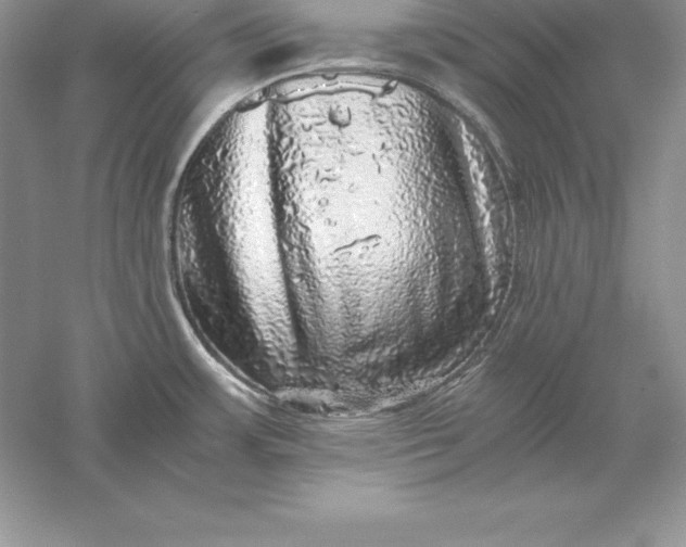 X0000055981483200509091940