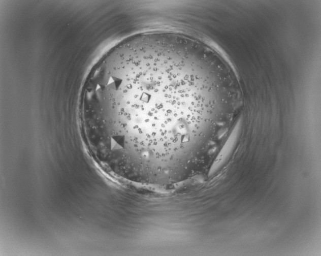 X0000055981485200509091940