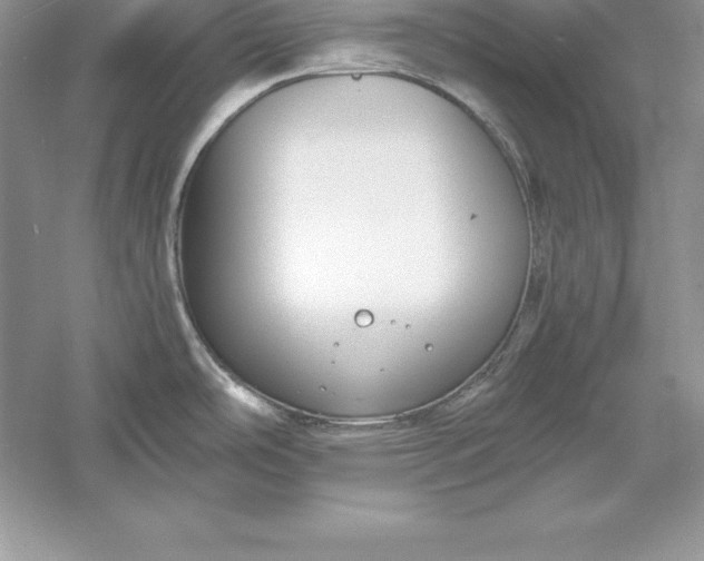 X0000055981486200509091940