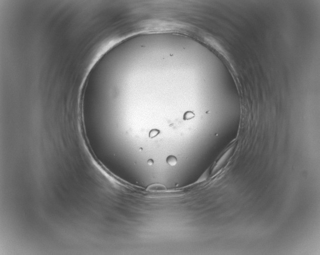 X0000055981487200509091940