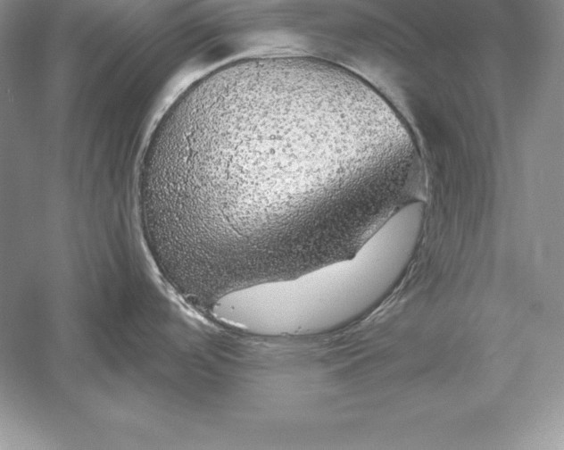 X0000055981488200509091940