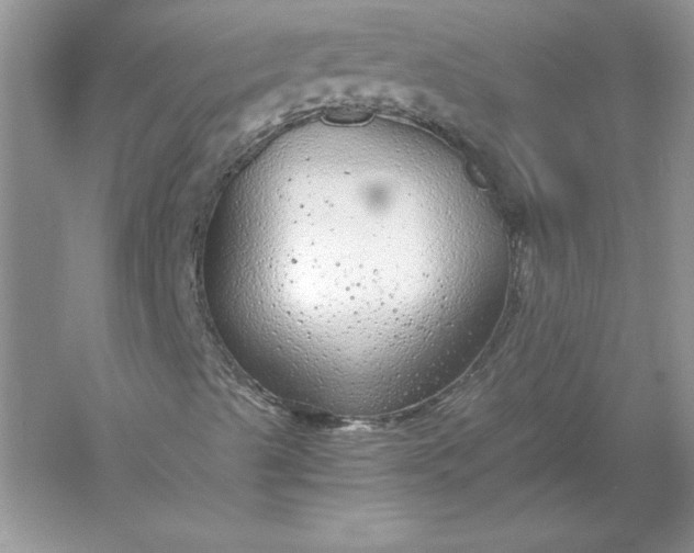 X0000055981489200509091939