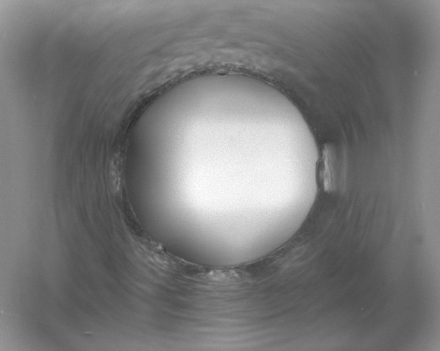 X0000055981491200509091939