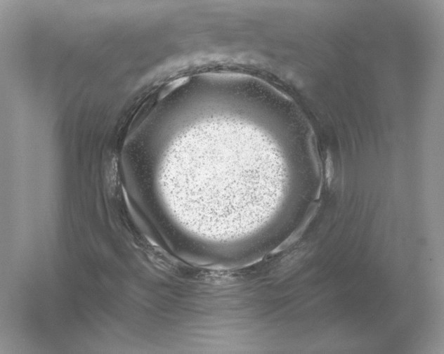 X0000055981492200509091939