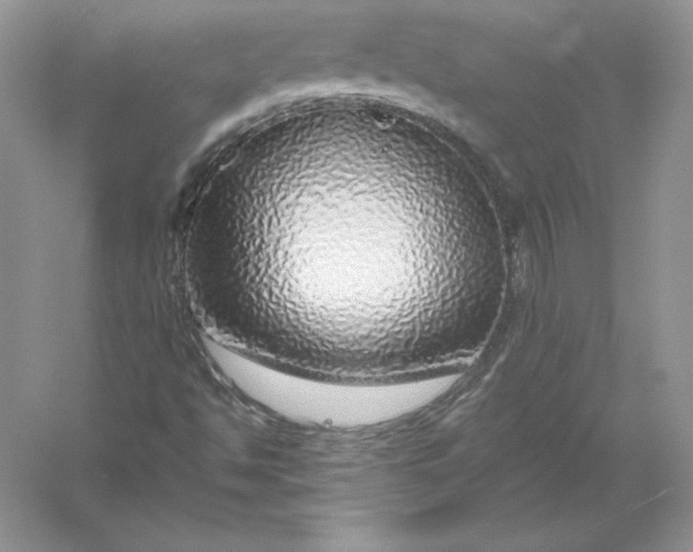 X0000055981494200509091939