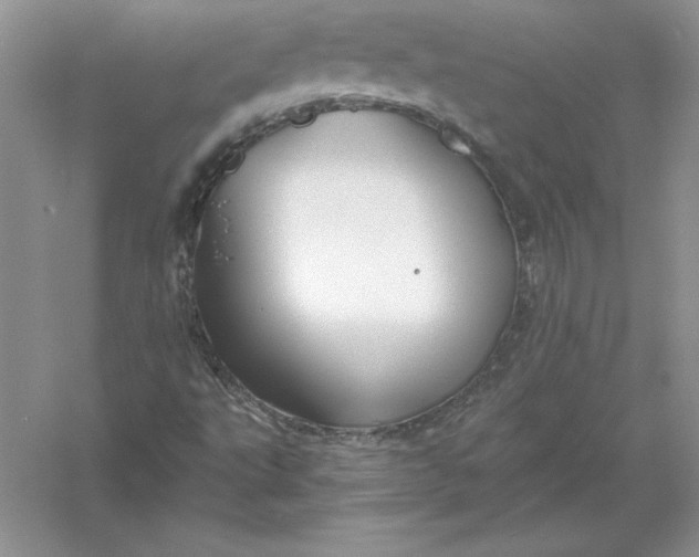 X0000055981495200509091939