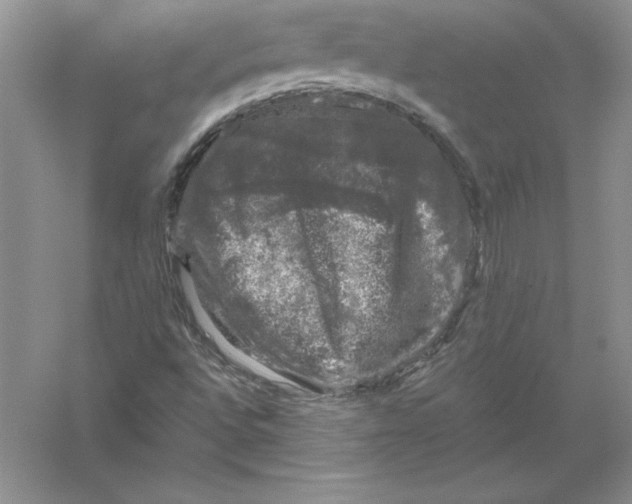 X0000055981496200509091939