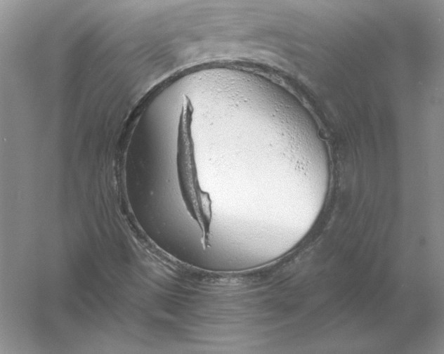 X0000055981497200509091939