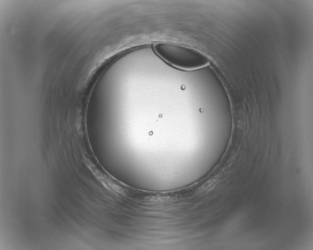 X0000055981499200509091939