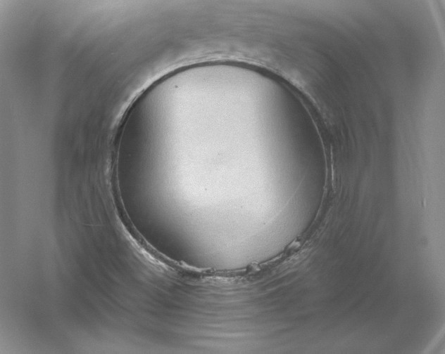 X0000055981500200509091939